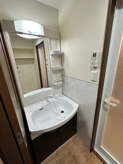 洗面設備　※他号室の写真です