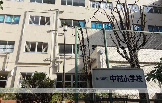 小学校　横浜市立中村小学校（小学校）まで494m