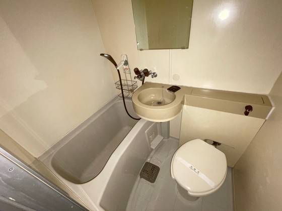 バス・シャワールーム　※別号室のお写真です。