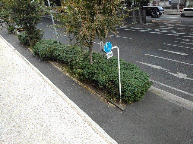 眺望