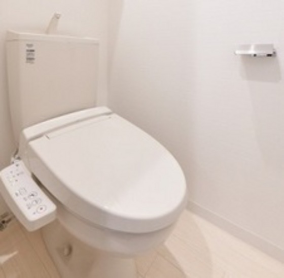 トイレ　他号室のお写真です