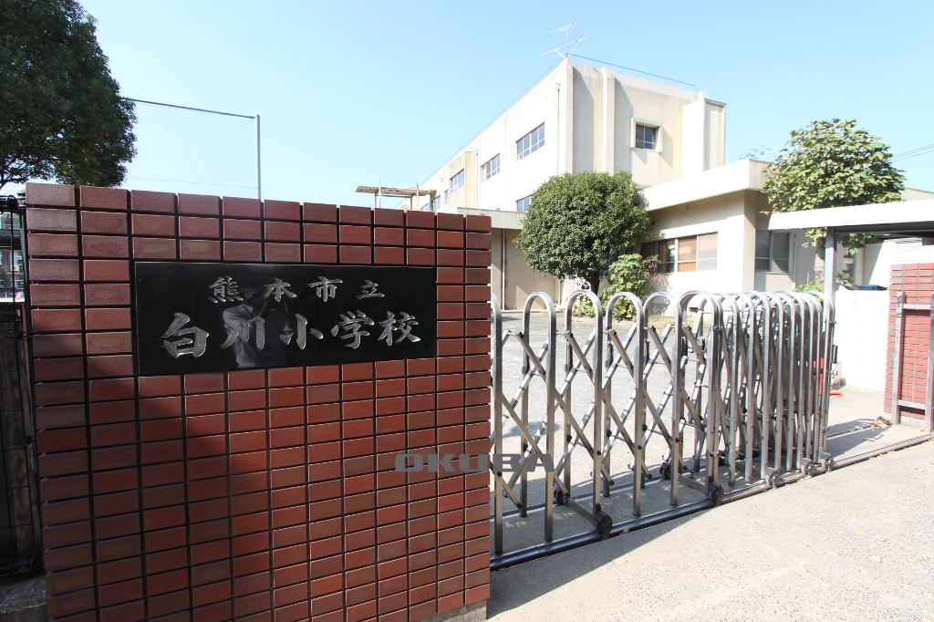 小学校　熊本市立白川小学校（小学校）まで384m