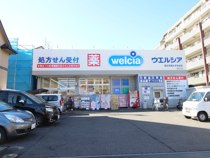 ドラックストア　ウェルシア富士見東みずほ台店（ドラッグストア）まで750m