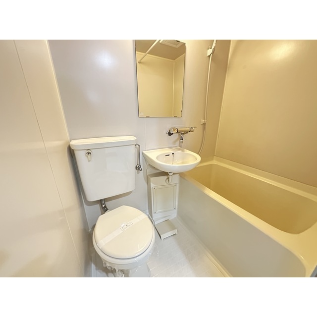 バス・シャワールーム　同タイプの部屋の写真です