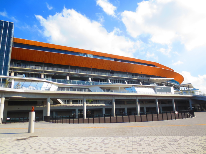 公園　等々力緑地（公園）まで10m