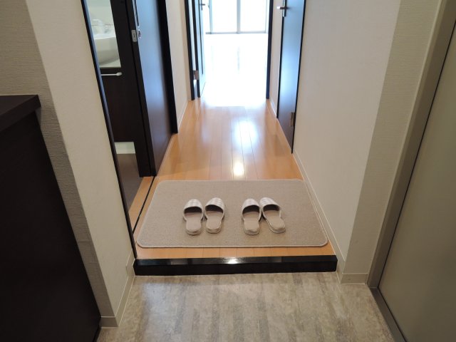 玄関　同一タイプです。