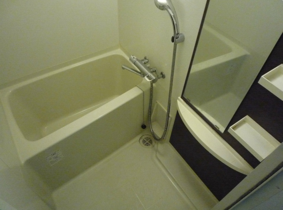 バス・シャワールーム　エステムコート難波サウスプレイIVパークグレイス　浴室