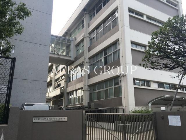 中学校　東京都市大学等々力中学校（中学校）まで431m