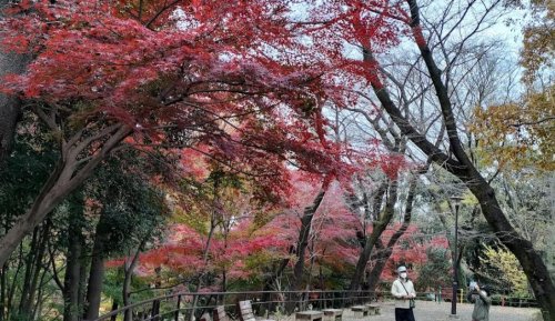 公園　都立戸山公園箱根山地区（公園）まで1708m