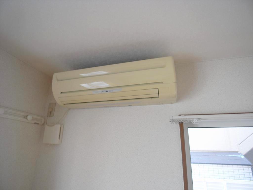 スエヒロ館のその他写真
