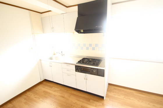 キッチン　※別号室の写真です。