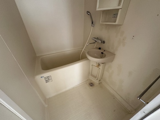 洗面設備　※別号室の写真です。