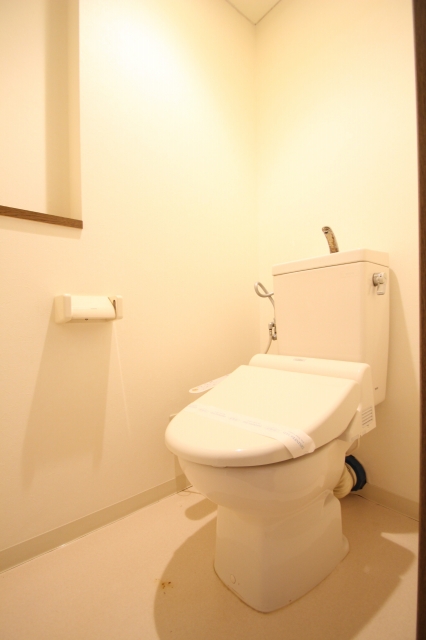 トイレ　同物件、別号室のものです。