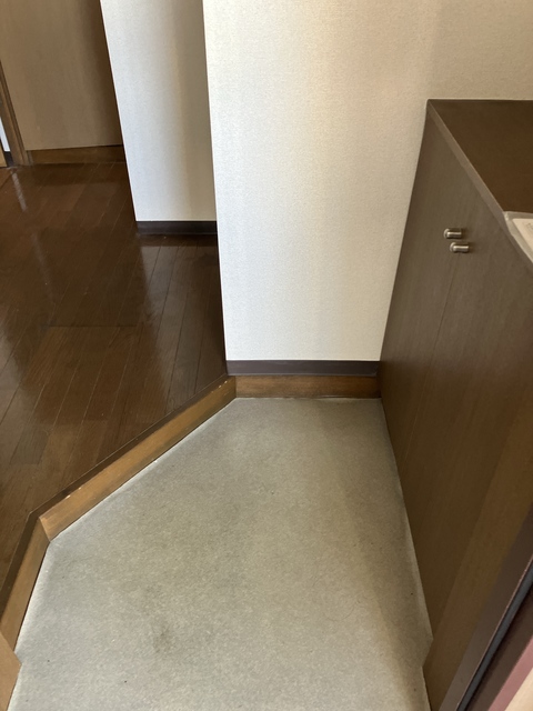 玄関　※補修前の参考画像の為、設備等は現況優先。