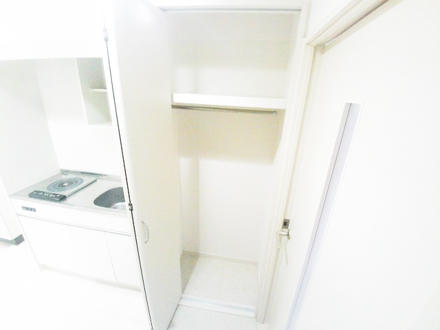 収納　クローゼットタイプの収納