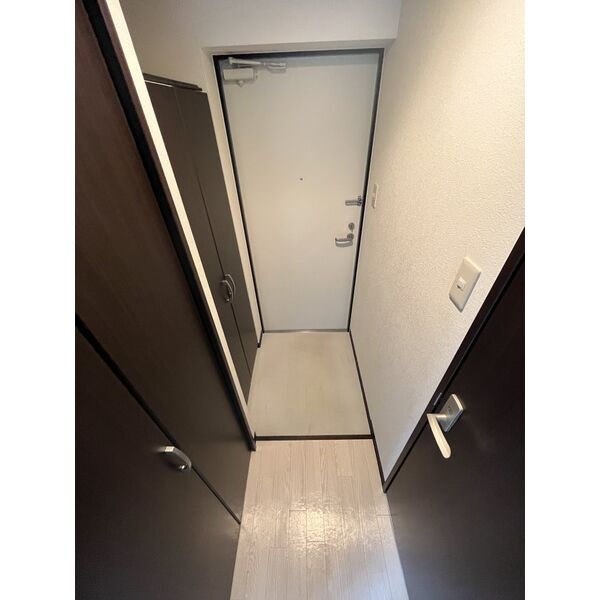玄関　落ち着いた玄関です