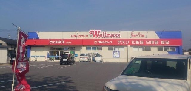 ドラックストア　ドラッグストアウェルネス淀江店（ドラッグストア）まで2800m