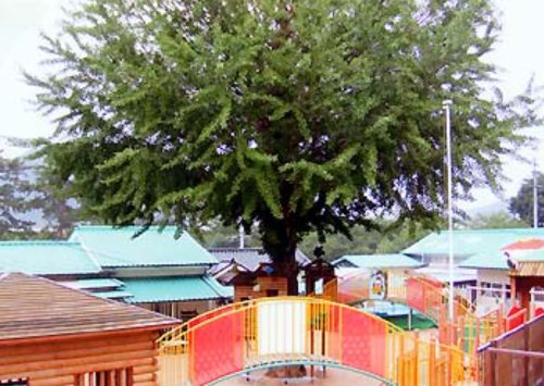 幼稚園・保育園　みのり幼稚園（幼稚園・保育園）まで583m