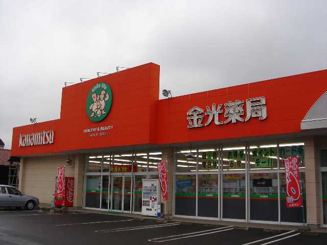ドラックストア　金光薬品 当新田店（ドラッグストア）まで172m