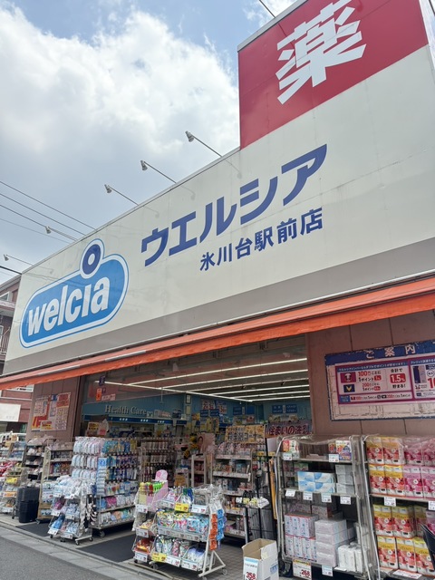ドラックストア　ウエルシア氷川台駅前店（ドラッグストア）まで1004m