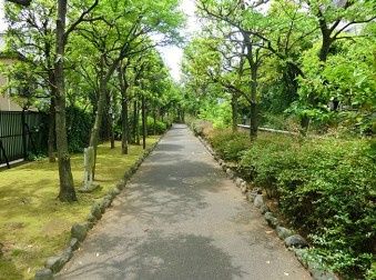 その他　洲崎緑道公園