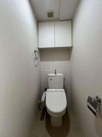 トイレ　落ち着いた色調のトイレです