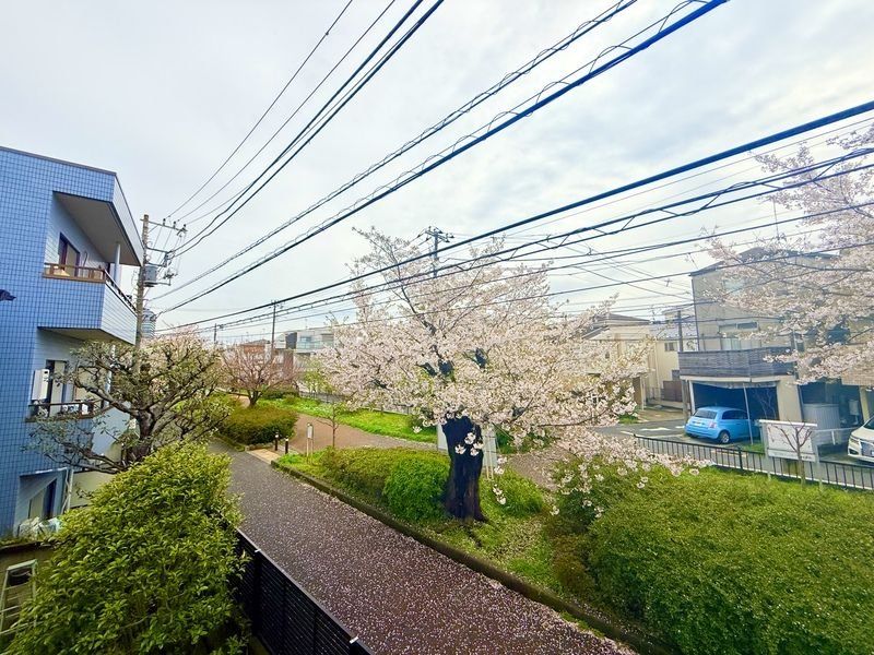 眺望
