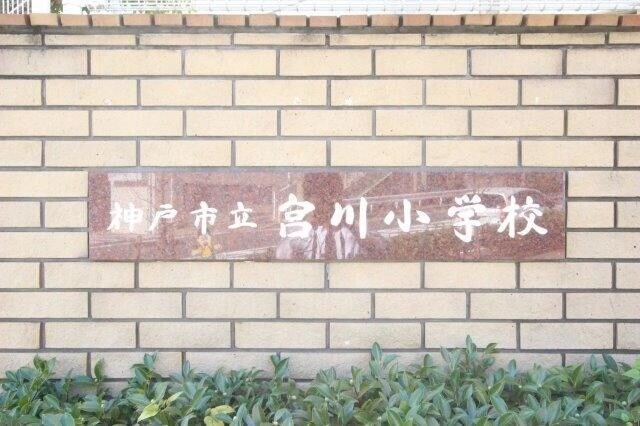 小学校　神戸市立宮川小学校（小学校）まで201m