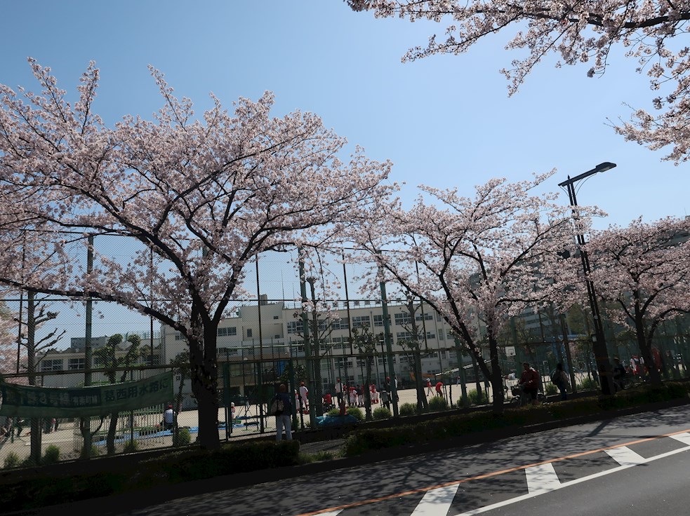 小学校　足立区立中川東小学校（小学校）まで362m