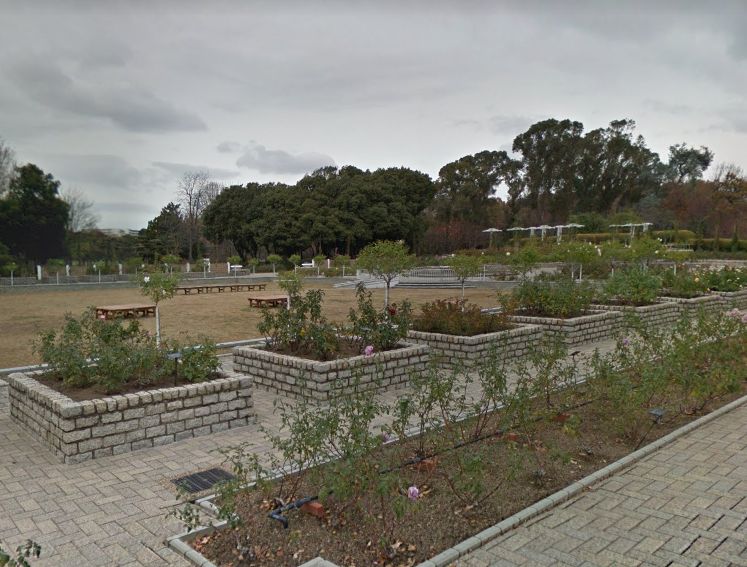 その他　大阪市立長居植物園（その他）まで993m