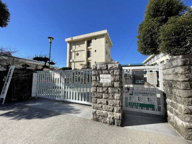 小学校　白島小学校（小学校）まで1633m