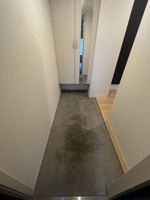 玄関　落ち着いた玄関です