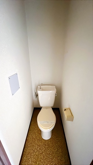 トイレ　※他号室の写真です