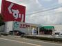 ドラックストア　スギ薬局 住崎店（ドラッグストア）まで559m