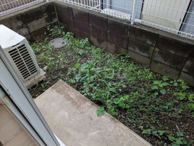庭