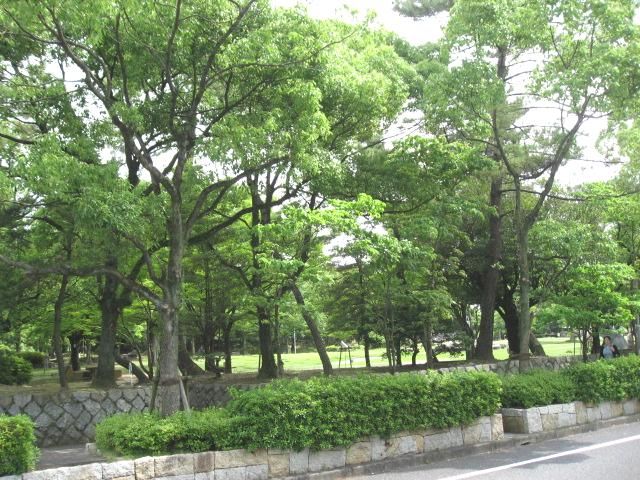 公園　大垣公園（公園）まで320m