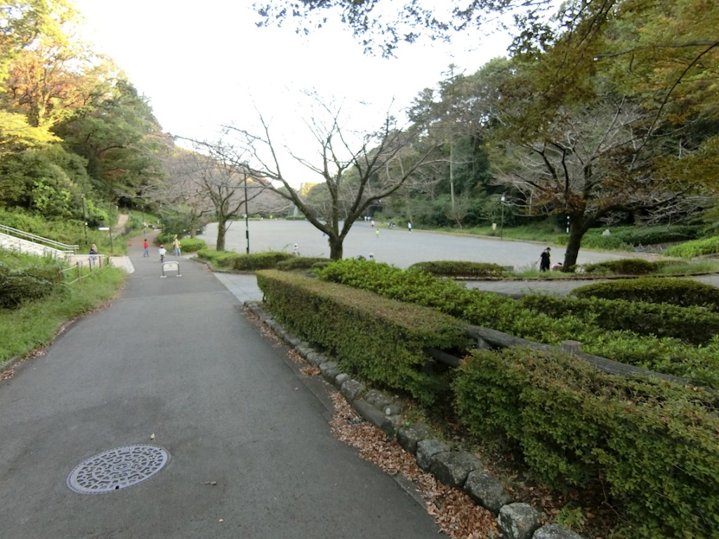公園　芹ヶ谷公園（公園）まで632m