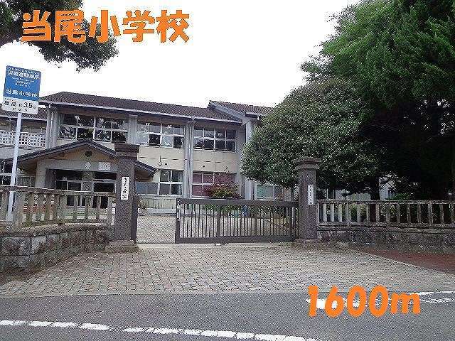 小学校　当尾小学校（小学校）まで1600m