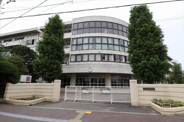中学校　妙典中学校（中学校）まで382m