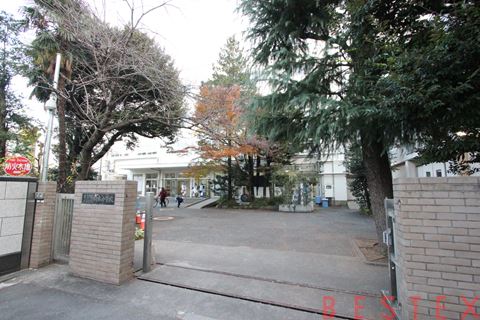 小学校　文京区立駒本小学校（小学校）まで242m