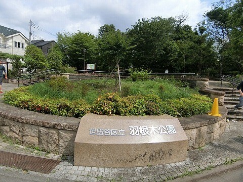 公園　羽根木公園（公園）まで607m