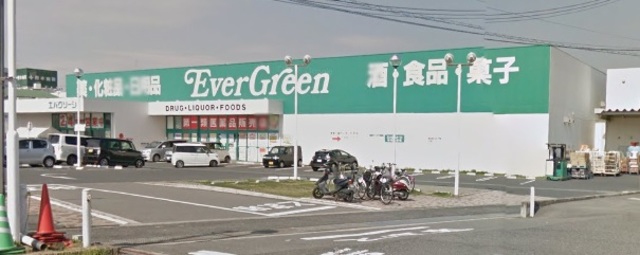 ドラックストア　エバグリーン狭山店（ドラッグストア）まで3019m