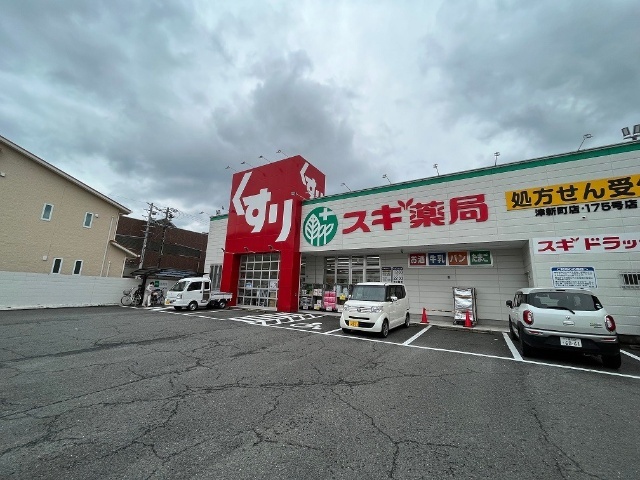 ドラックストア　スギ薬局津新町店（ドラッグストア）まで875m