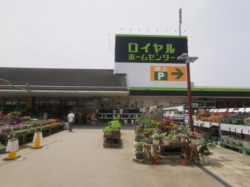 ホームセンター　ロイヤルホームセンター堺店（ホームセンター）まで677m