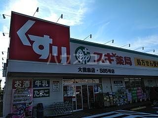 ドラックストア　スギ薬局 大我麻店（ドラッグストア）まで1003m