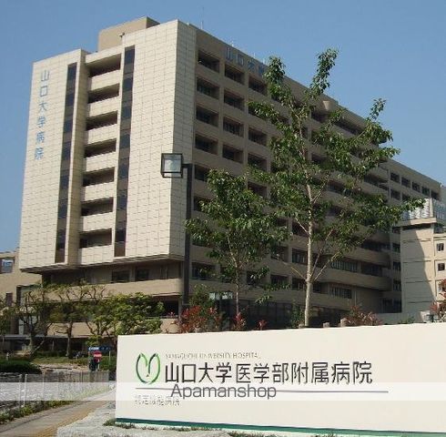 大学・短大　山口大学医学部（大学・短大）まで691m