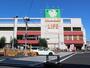 スーパー　ライフ 千川駅前店（スーパー）まで246m