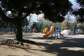 公園　駒込公園（公園）まで216m