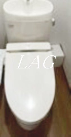 オルタシア千駄木のトイレ写真