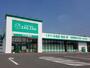 ドラックストア　ザグザグ西之町店（ドラッグストア）まで249m